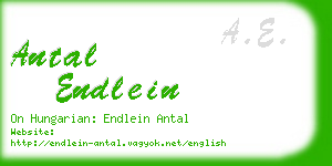 antal endlein business card